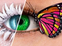 Your DIY Guide to Makeup