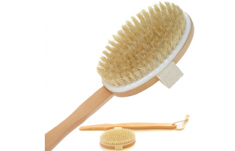 Your Lymphatic System: Part 2