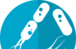 The Secret to Weight Loss May Be in the Gut